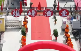 秦城坊：用实打实的酒质和灵活模式，寻找同行人