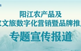 金融护航山海间 太保擘画阳江农文旅融合新篇